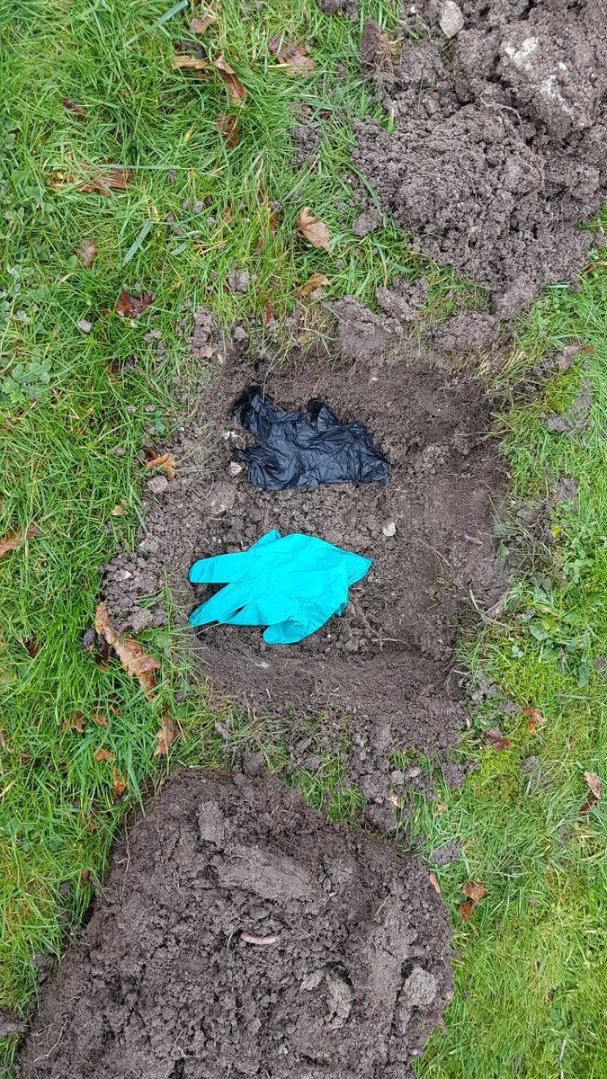 gloves being buried for biodegradability testing 